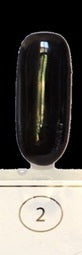 2 Nero Onix GEL POLISH 7 ml FLYA NAILS