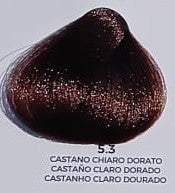 COLOR 5.3 - Castano Chiaro Dorato