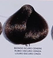 COLOR 6.1 - Biondo Scuro Cenere