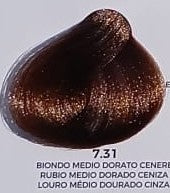 COLOR 7.31 - Biondo Medio Dorato Cenere
