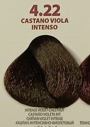 ING NO AMMONIA 4.22 - Castano Viola Intenso