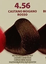 ING NO AMMONIA 4.56 - Castano Mogano Rosso