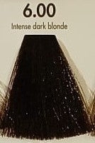 COLOR ING 6.00 - Biondo Scuro Intenso