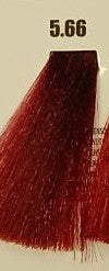 TIMLESS 5.66 - Biondo Scuro Rosso Intenso