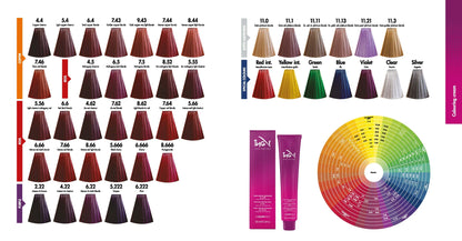 COLOR ING 9.43 - Biondo Chiarissimo Rame Dorato